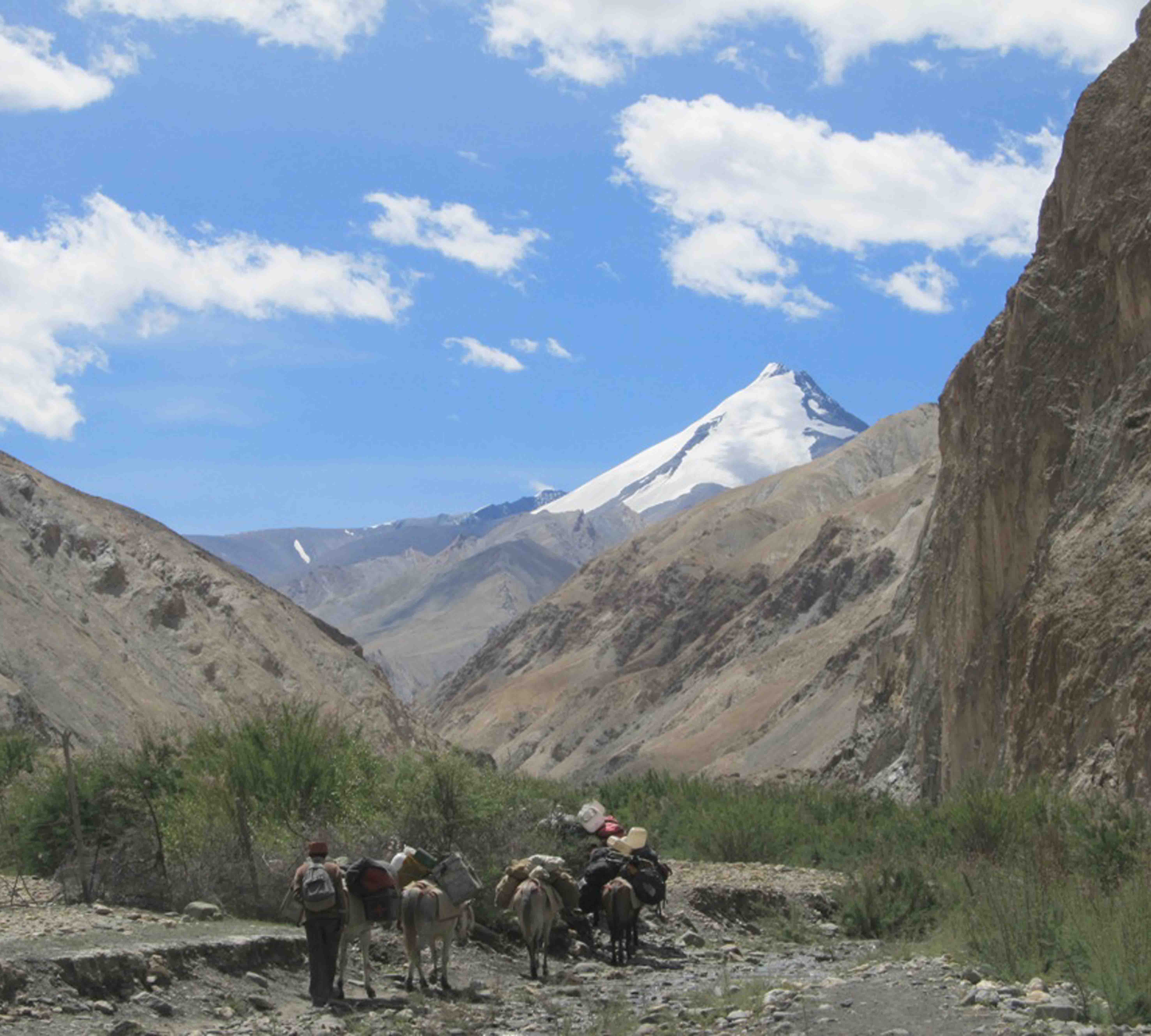 Markha Valley Trek